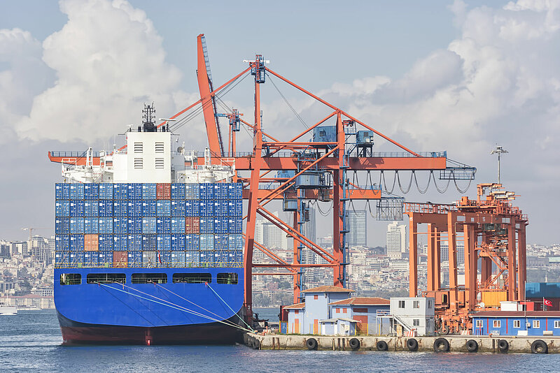 Container ship docked at a port with cranes unloading cargo, representing global shipping and 3PL port logistics services.]